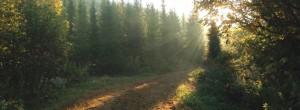The land I think I own