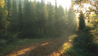 The land I think I own