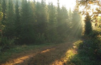 The land I think I own