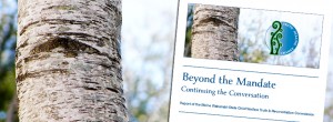 TRC Report cover preview
