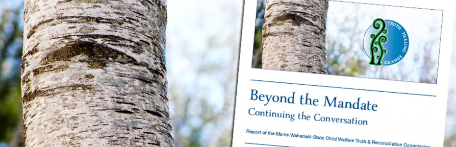 TRC Report cover preview